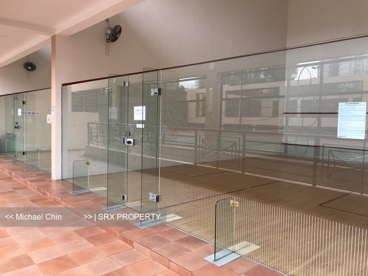 Hillview Heights (D23), Condominium #351209561